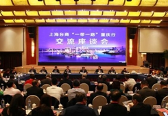 上海臺商組團(tuán)來渝挖掘“一帶一路”商機(jī) 共享發(fā)展新機(jī)遇