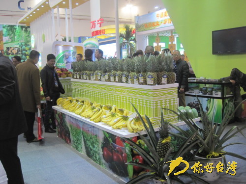 冬交會上展出的海南特產(chǎn)