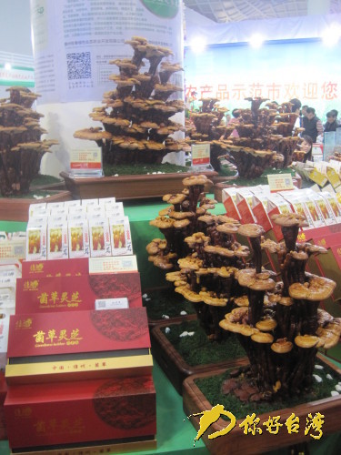 冬交會上展出的海南特產(chǎn)