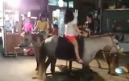 臺灣樂華夜市驚見“活體旋轉(zhuǎn)木馬”網(wǎng)友批：太殘忍。（臺媒圖）