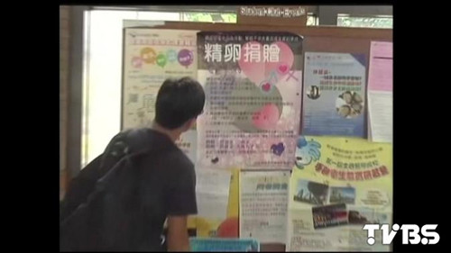 臺灣捐卵人數(shù)增至500人一人最多可得2萬營養(yǎng)費(fèi)