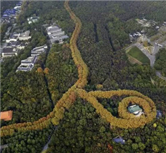 南京美齡宮現(xiàn)“最美項鏈”景觀
