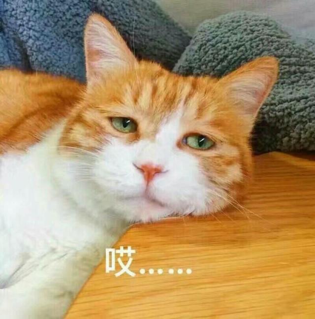 ²۴(hu)_(ti)ҪŮѡl(wi)ϴ^(gu)áW(wng)R