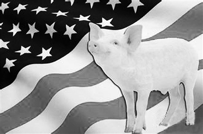 瘦肉精引發(fā)口水戰(zhàn)“英倫”斗法為何拿美豬開刀？