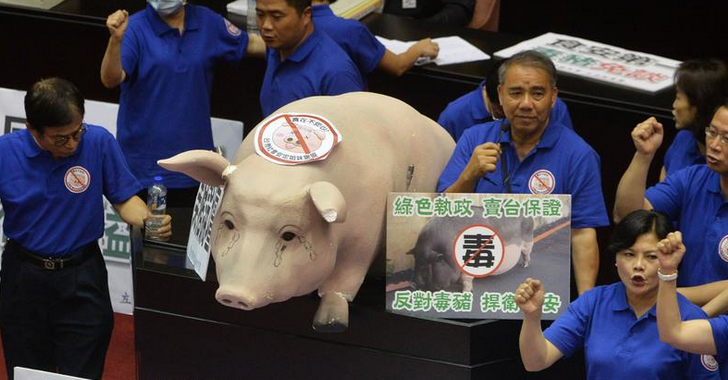 豬農(nóng)扛豬進“立法院”抗議 道具豬逼真或全臺巡演