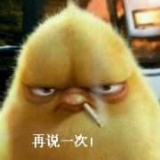 _ͣ늡顱Ĳ ̮֡ؾpc_