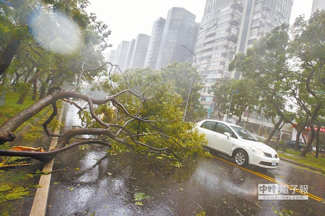 臺(tái)風(fēng)“鲇魚”侵臺(tái) 全臺(tái)4死316傷（圖）