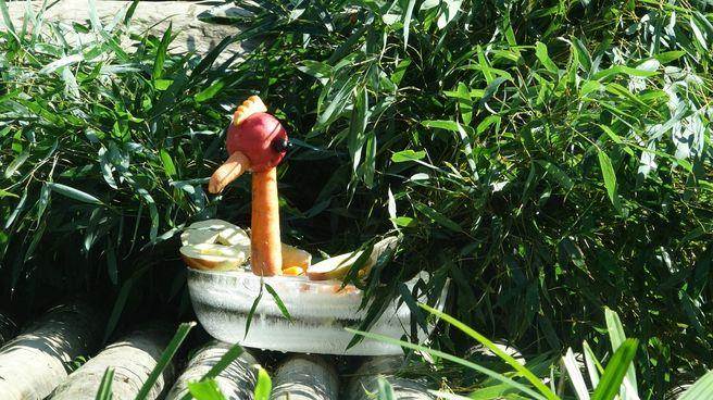 “圓仔”新年特餐的素材有蘋(píng)果、胡蘿卜、葡萄、窩窩頭及竹葉等