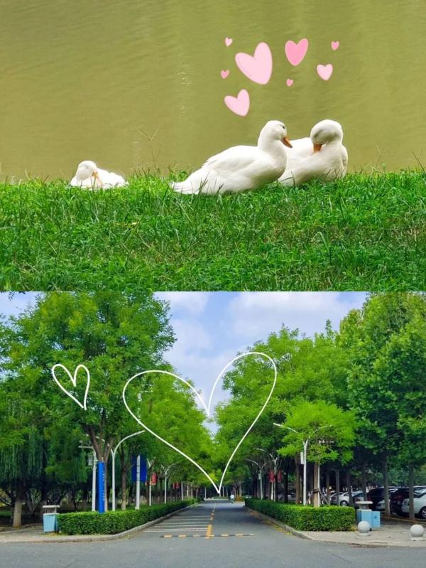 У@ӡġ^(gu)Ϧ