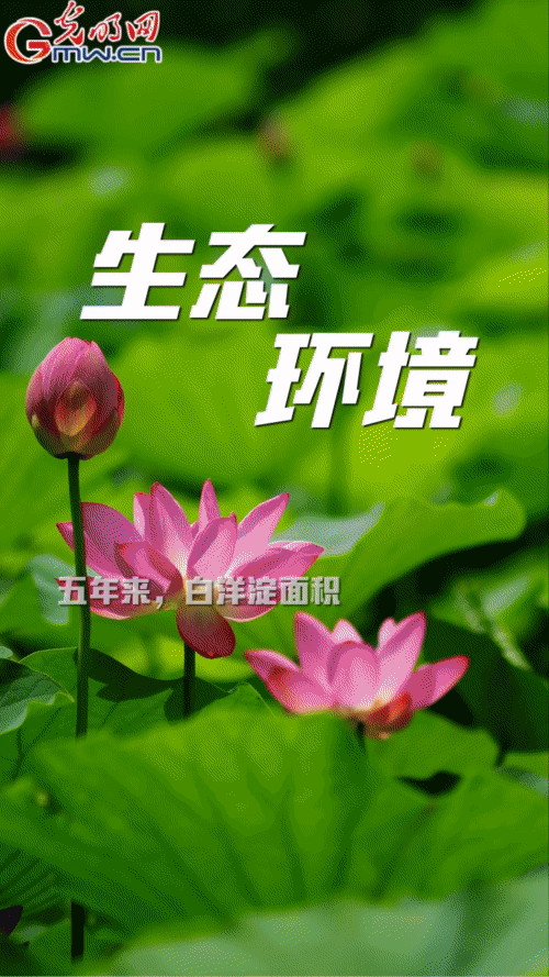 (dng)(bo)۰^(q)^M(jn)ٵ׃ δ(li)֮s
