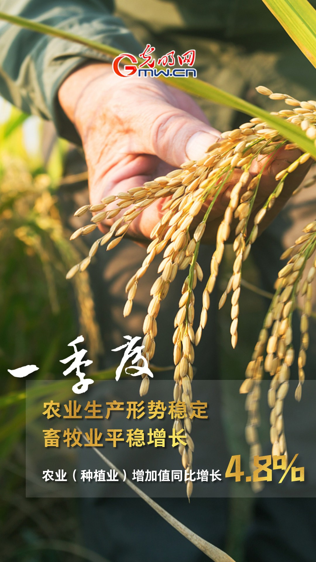 GDP同比增長4.8% 一季度多項重磅數(shù)據(jù)公布!