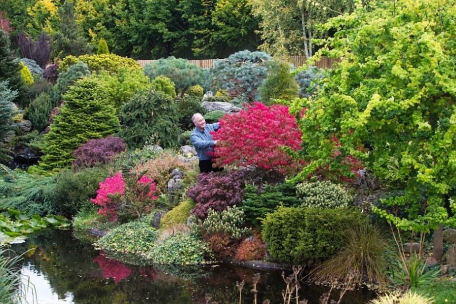 英國(guó)老人花25年打造夢(mèng)境花園 每天從早干到晚