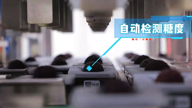 W020250606354300158628_副本.png