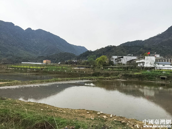 全國(guó)網(wǎng)絡(luò)媒體走進(jìn)中國(guó)扶貧第一村——福鼎赤溪。(中國(guó)臺(tái)灣網(wǎng)記者 劉瑩 攝) 全國(guó)網(wǎng)絡(luò)媒體走進(jìn)中國(guó)扶貧第一村——福鼎赤溪。(中國(guó)臺(tái)灣網(wǎng)記者 劉瑩 攝)